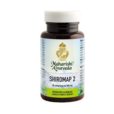 SHIROMAP 2(MA 332) 60 Tav.30g