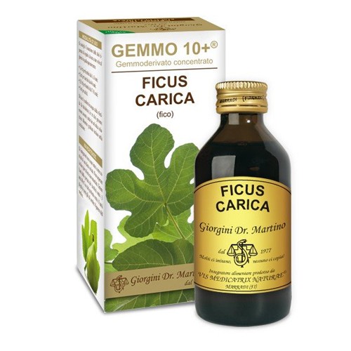 FICUS CARICA Gemmo 10+100ml