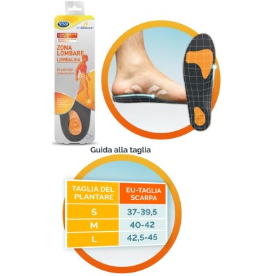 Scholl PLANTARE ZONA LOMBARE Sollievo Dolore Taglia M 2 Pezzi