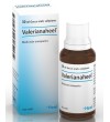 Valerianaheel -Heel Gocce 30ml