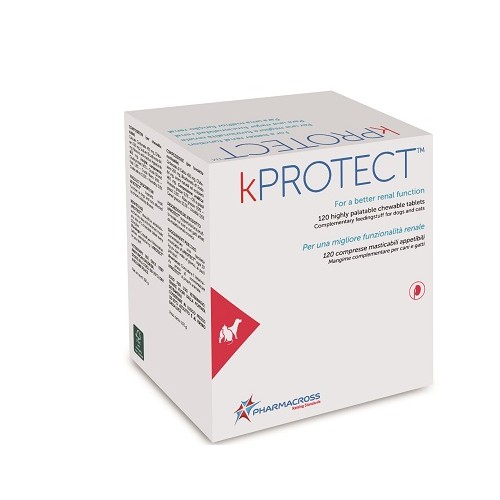 KPROTECT 120 Cpr mast.