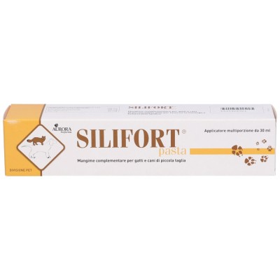 Silifort Pasta 30 g