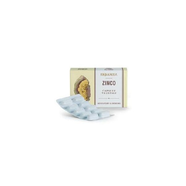 ZINCO 24 Cps Veg.EBM