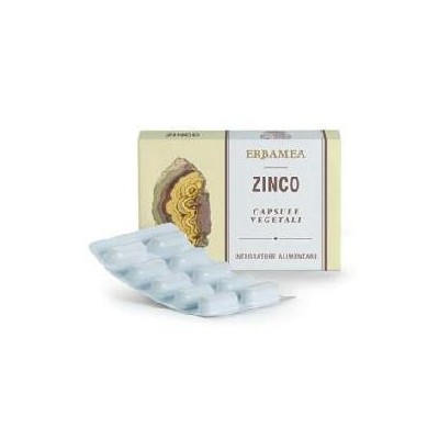 ZINCO 24 Cps Veg.EBM
