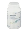 Candex 90 Capsule