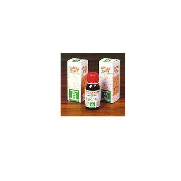 SP.ARTIGLIO DIAVOLO 35 TM 50ml
