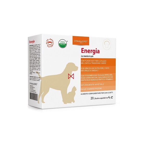 ENERGIA 20BUST 4G