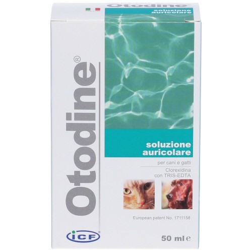 Otodine Soluzione Auricolare 50 ml