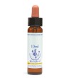 HORNBEAM 10ML DI LEO