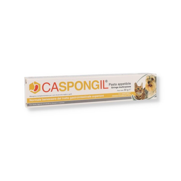 CASPONGIL Pasta 30g