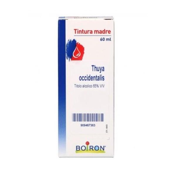 THUYA OCCIDENTALIS TINTURA MADRE 60 ML