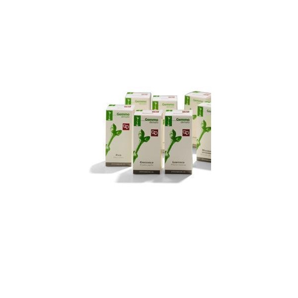 RIBES NE 200ML MG FTM