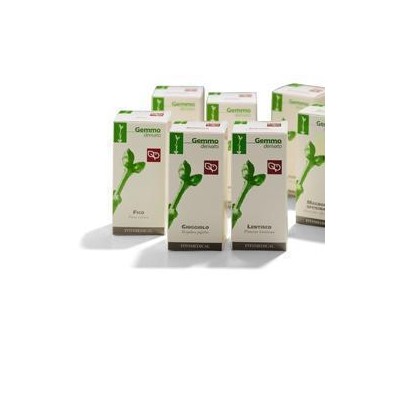 RIBES NE 200ML MG FTM
