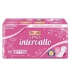 LINES Intervallo ULTRA REGULAR 40 Proteggislip ripiegati