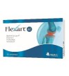 Flexart 60 60 Compresse