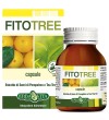 FITOTREE 60 Cps      EBV