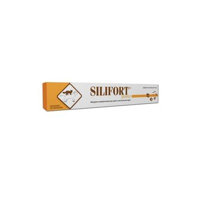 SILIFORT PASTA OS SIRINGA 15 G