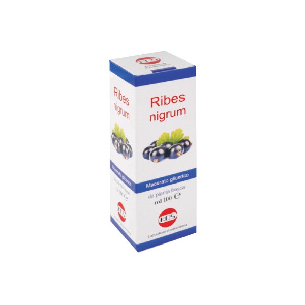 Kos Ribes Nigrum Macerato Glicerico 100ml