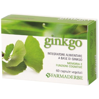Ginkgo Biloba 60 Capsule