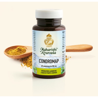CONDROMAP (MA 209) 60 Compresse