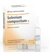 Selenium Compositum N 10 Fiale da 2,2ml