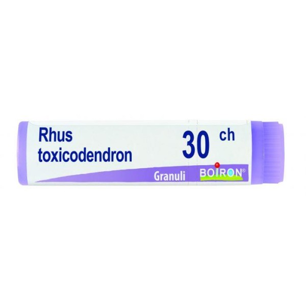 Rhus toxicodendron 30 CH 80 Granuli