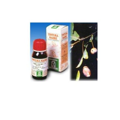 SP.FUCUS VESIC.TM 50ml