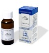 EXTRAGEM Tiglio Gemme 20ml