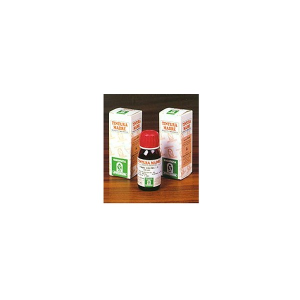 SP.AMAMELIDE TM 50ml