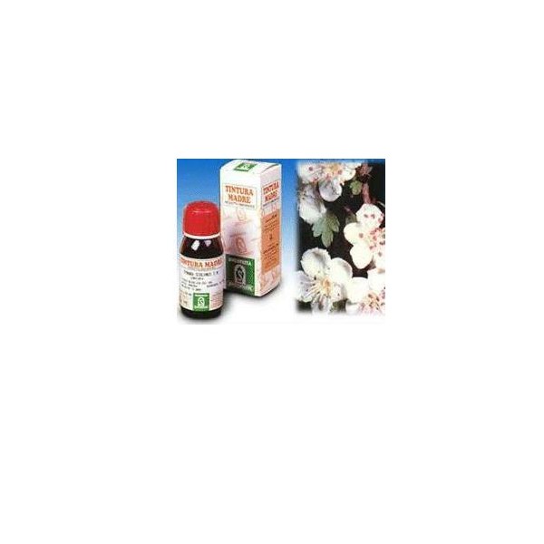 SP.BIANCOSPINO TM  50ml
