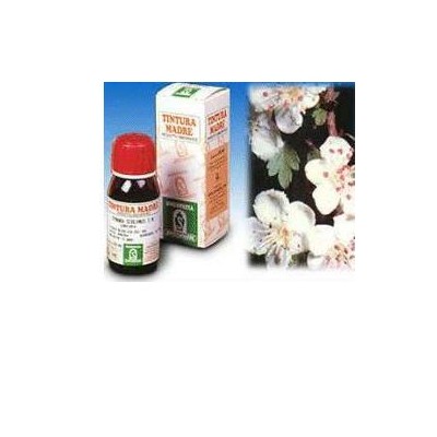 SP.BIANCOSPINO TM  50ml