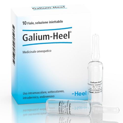 Galium -Heel 10 Fiale Iniettabili