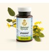 APANAMAP (MA 5328) 60 Compresse