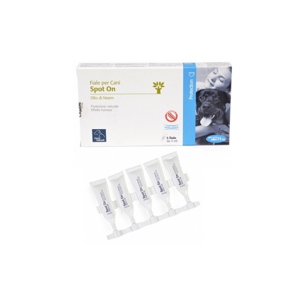 PROTECTION SPOTON CANE 10 5X5