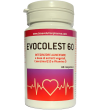 EVOCOLEST 60CPR